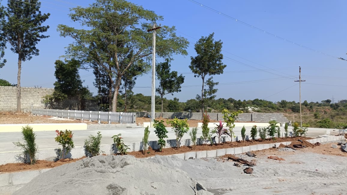 Plot 13